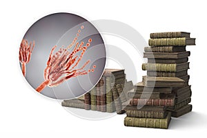 Mold in old books, 3D illustration