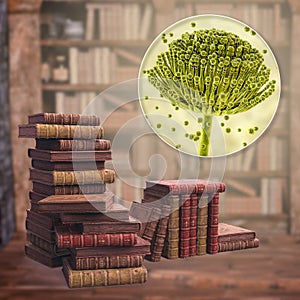 Mold in old books, 3D illustration