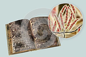 Mold in old books, conceptual illustration