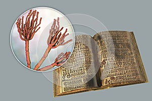 Mold in old books, conceptual illustration