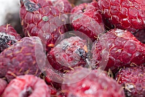 Mold on the raspberries