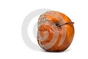 Mold on a rotten apple isolated