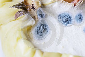 Mold spots on half apple