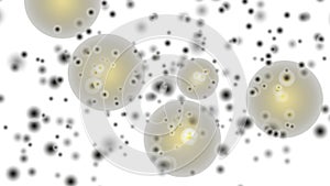 Mold spots on a white background. Spore mold microbes microscope view