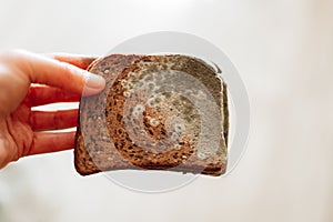 Mold stains on whole grain bread in hands close-up. Spoiled baked goods. Stale bread. Whole grain bread in green mold. photo