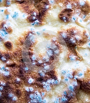 Mold on the surface of meat products