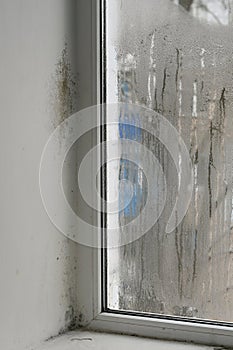 Mold on a wet window in the house