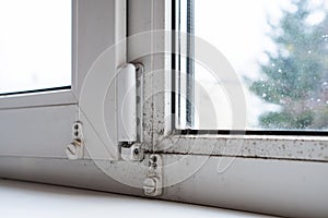 Mold on the window in the house. Mould spores thrive on moisture