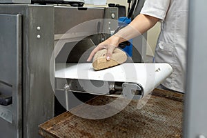 Molded dough on conveyor belt. Operator& x27;s hand takes dough from conveyor belt. One of stages of bread production in