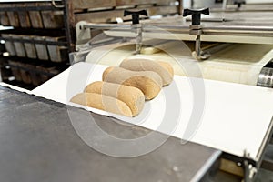 Molded dough products lie on metal plates in rack at bakery. One of stages of bread production in industrial bakery