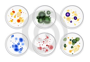 Moldiness Bacteria Colonies Set