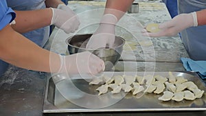 Molding of dumplings in the production workshop