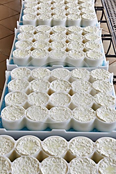 Molds with semifinished for production of soft cheese