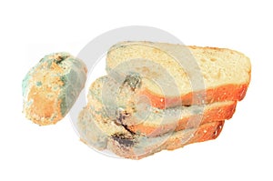 Moldy bread