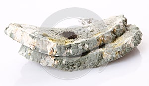 Moldy bread