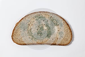 Moldy bread