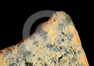 Moldy bread on black background