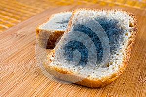 Moldy bread.