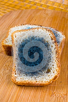 Moldy bread