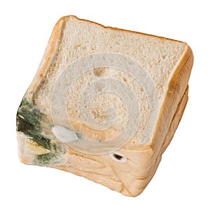 Moldy bread Isolated