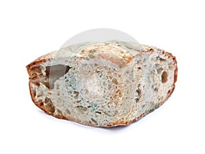 Moldy bread