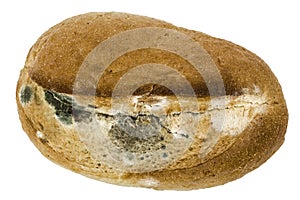 Moldy bread, isolated on white background