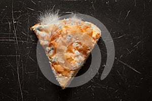 Moldy cheese pie