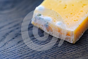 Moldy cheese on wood, contrast crust