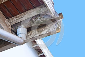 Moldy and Flaking Asbestos Guttering and Downpipe