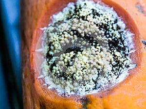 Moldy fruit, fruit Rotten, mold on the fruit.