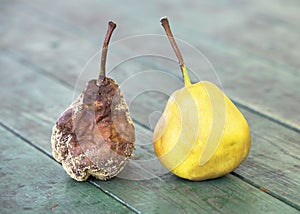 Moldy and healthy fresh pear fruits