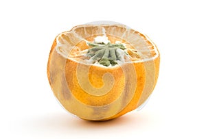 Moldy lemon