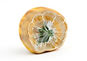 Moldy lemon