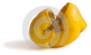 Moldy lemon