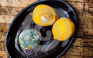 Moldy lemon fruit on a wooden table