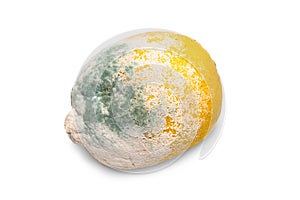Moldy lemon