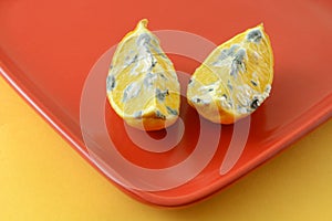 Moldy lemon wedges