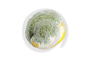 Moldy lemon