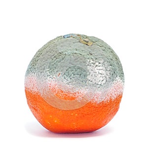 Moldy orange