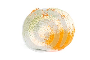Moldy orange isolated on white