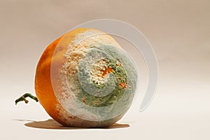 A moldy orange separates on a gray background