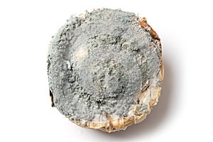 Moldy organic food on white. Improper storage of products, excessive stocks lead to spoilage of food. Close up