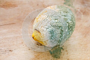 Moldy organic lemon on wooden background