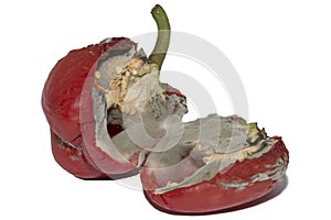 Moldy Red Bell Pepper Isolated On White