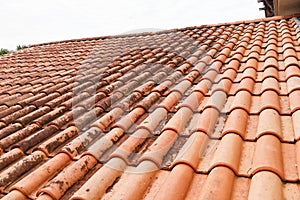 Moldy roof tiles in humid tropical climate