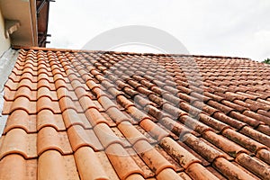 Moldy roof tiles in humid tropical climate