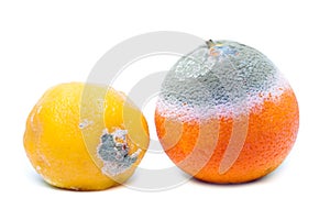 Moldy rotten orange and lemon fruit photo