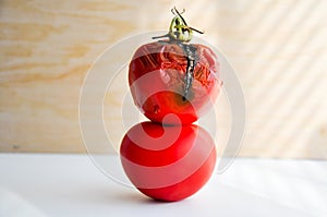 Moldy rotten tomato