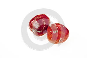 Moldy rotten tomatoes