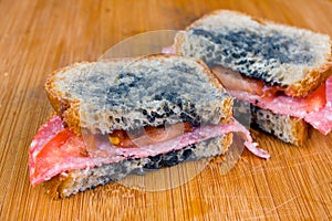 Moldy sandwich with salami, tomatoes on a chopping board